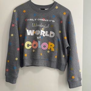 Disney Wonderful World of Color Sweatshirt